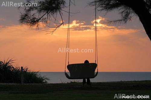 SALA Phuket Resort & Spa 44